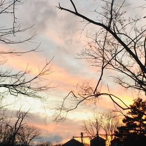 Meet your Posher, Cheyenne